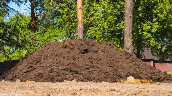 Cost of Dirt Installation in Seattle