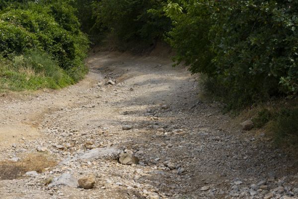Cost of Gravel Road Pothole Repair in Seattle