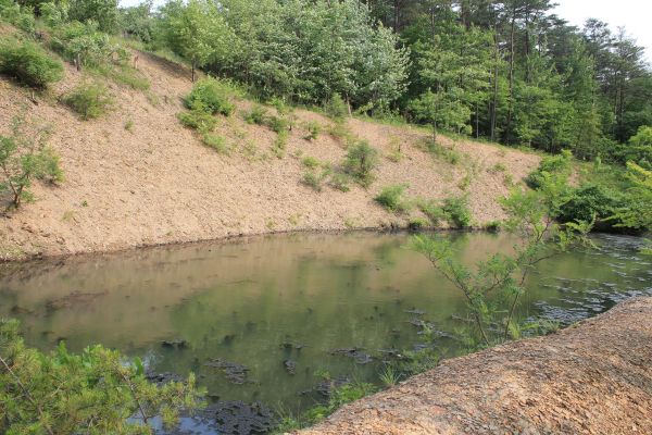 Cost of Pond Erosion Repair in Seattle