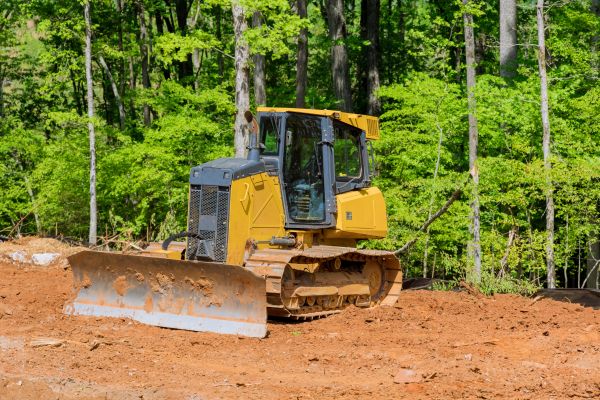 Cost of Lawn Flattening in Seattle