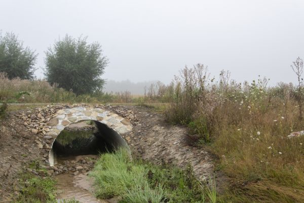 Cost of Culvert Excavation in Seattle